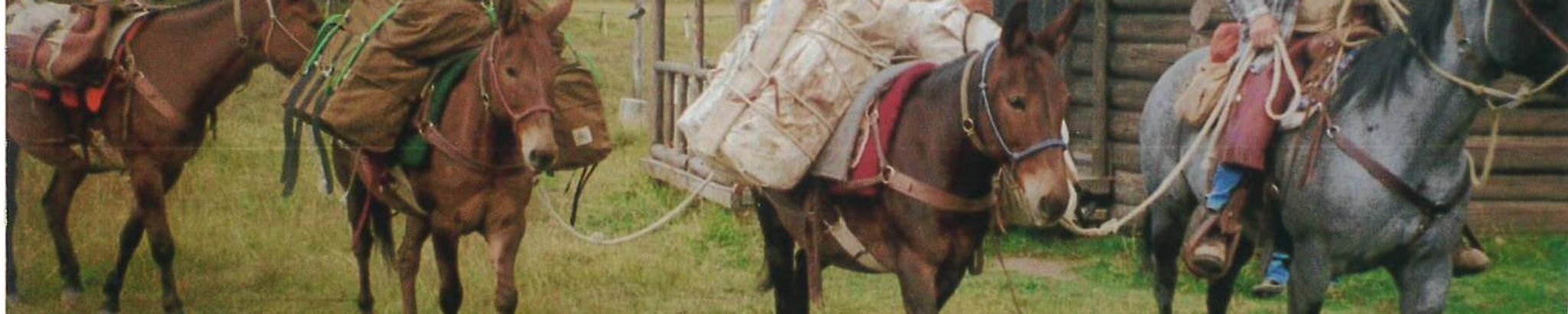 Cover photo for Don Cleveland's Obituary