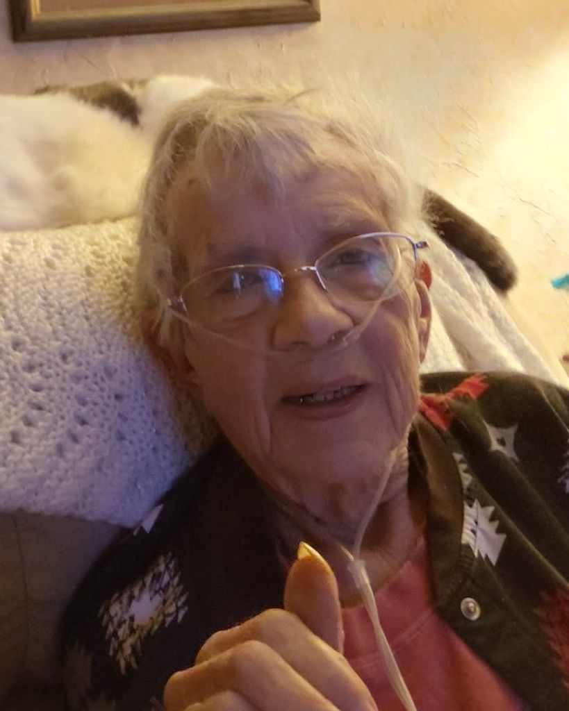 Janice Carol Carlson Profile Photo