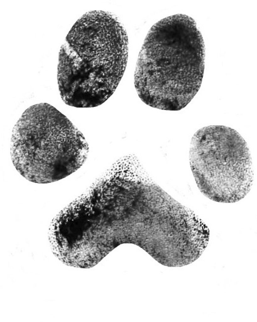 Rosie Snider Profile Photo