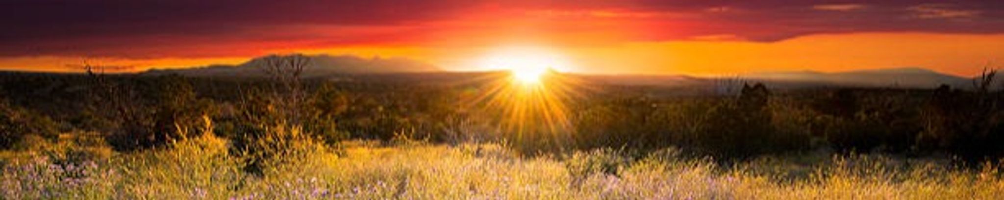 Cover for Steven Eric Carlson's Obituary