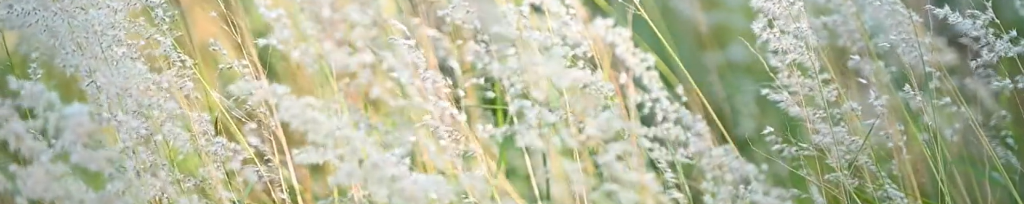 Cover for Torben Jensen's Obituary