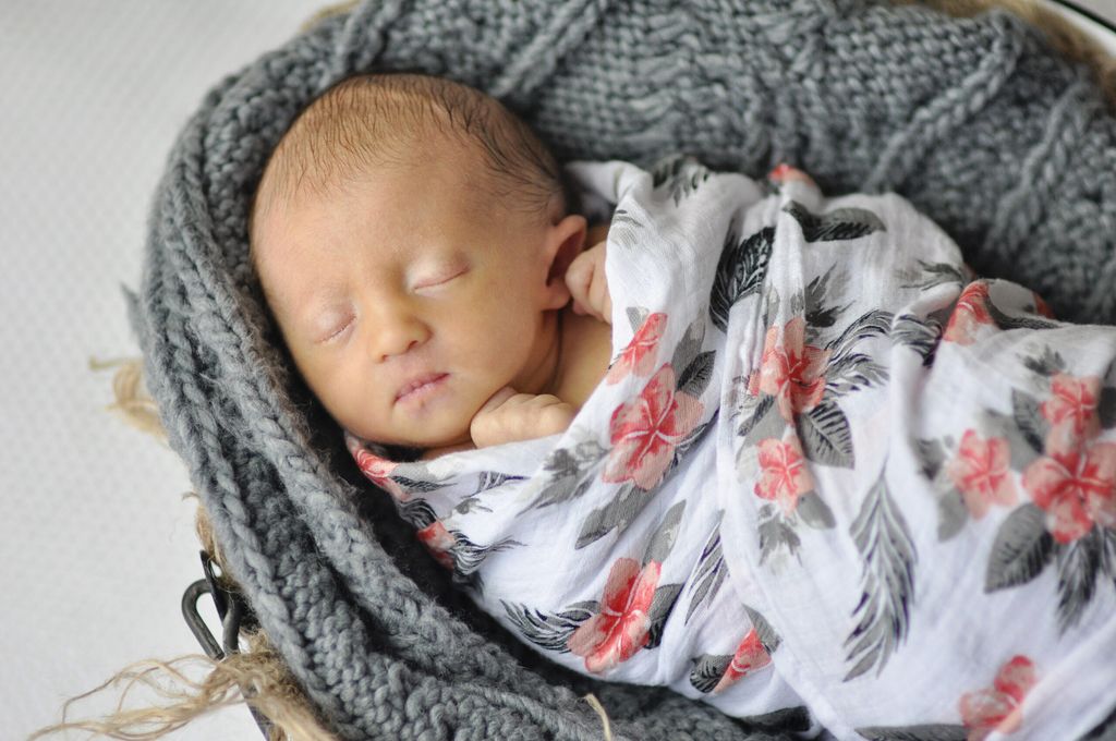 Viona Jayne Steger