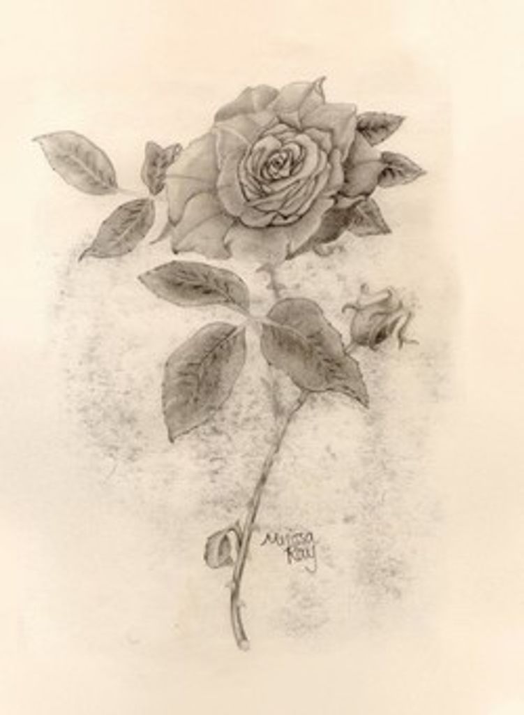 Lila Stern