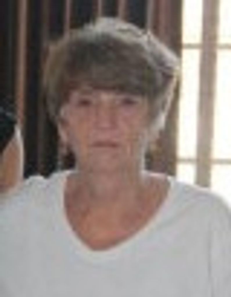 Judy Lynn Shaw Profile Photo