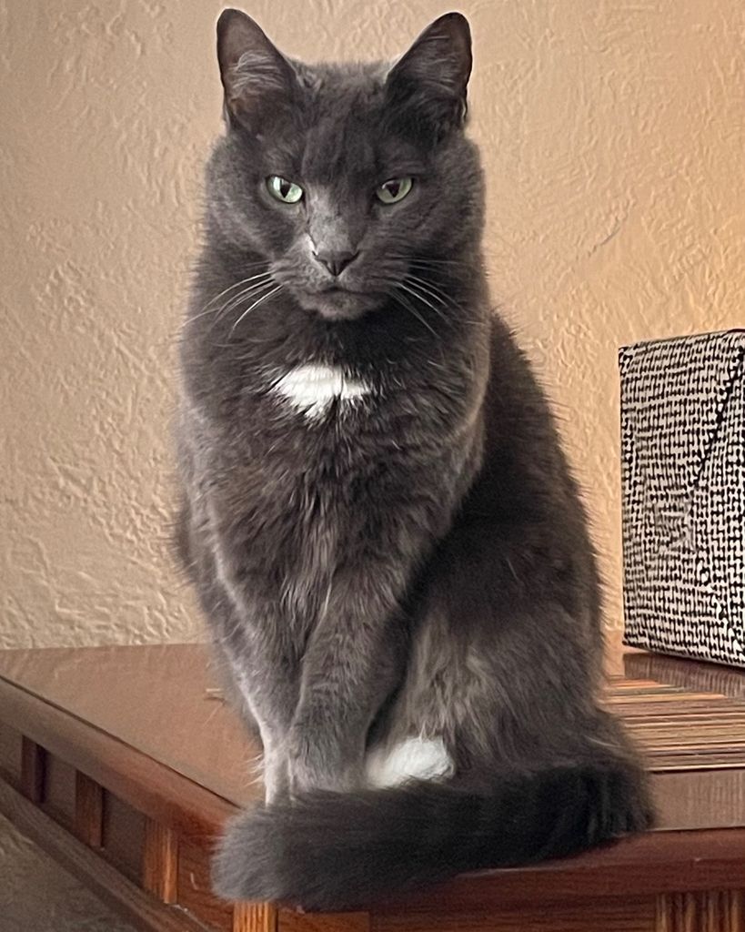 Chloé Profile Photo