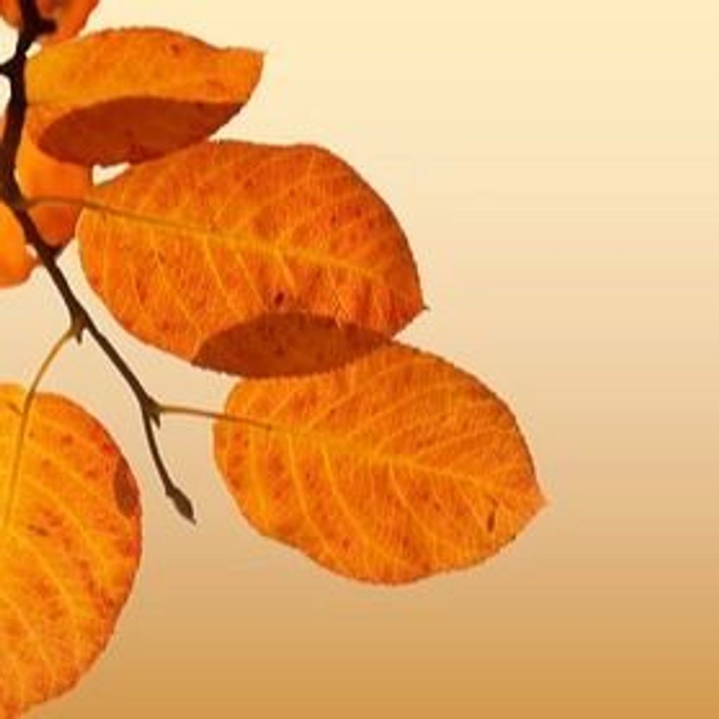 Philip Edward Boyer Profile Photo