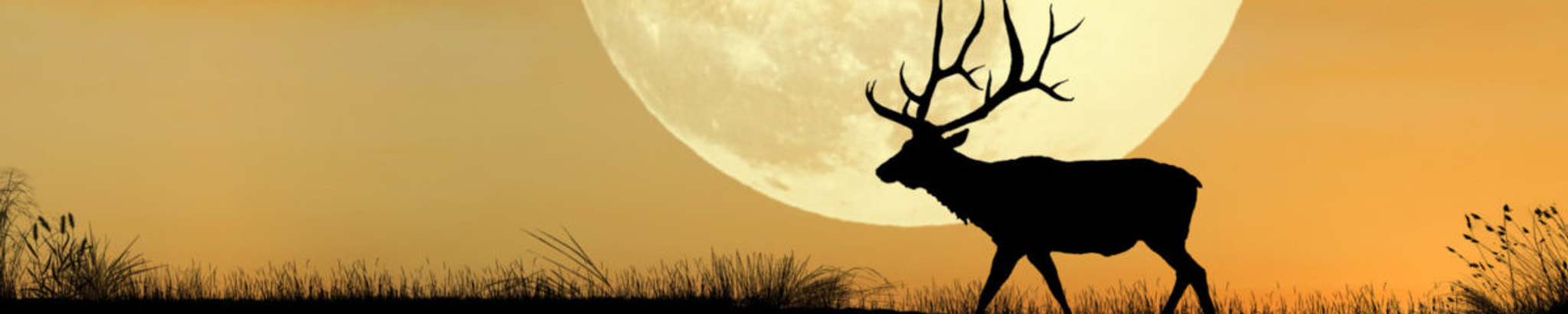 Cover photo for Frank "Wayne" Wooder's Obituary