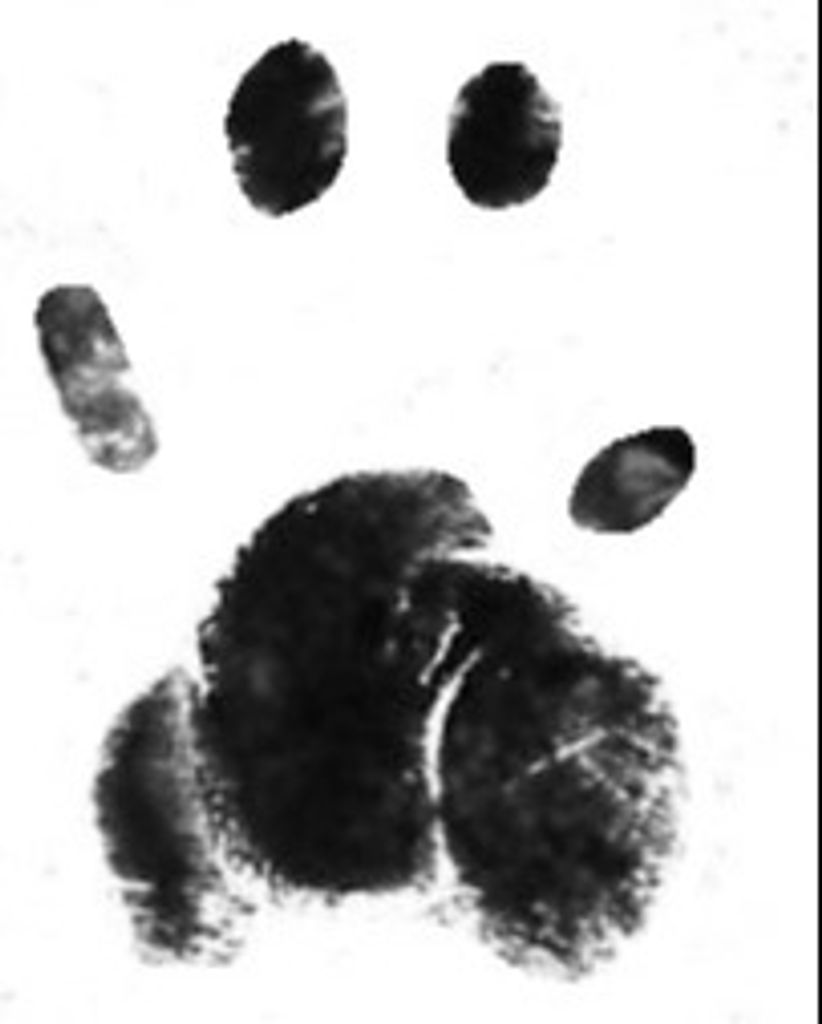 Milo Sun Profile Photo