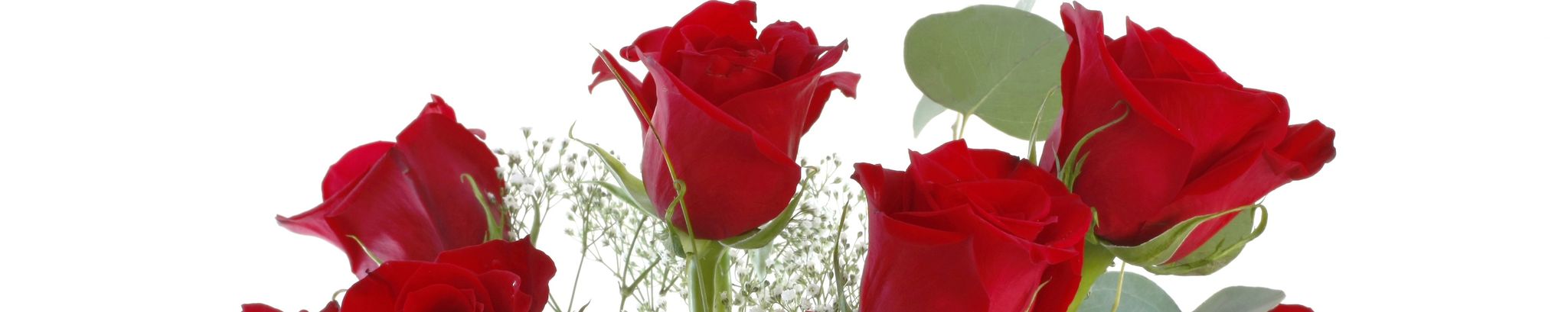 Cover for Doris R. Daves's Obituary