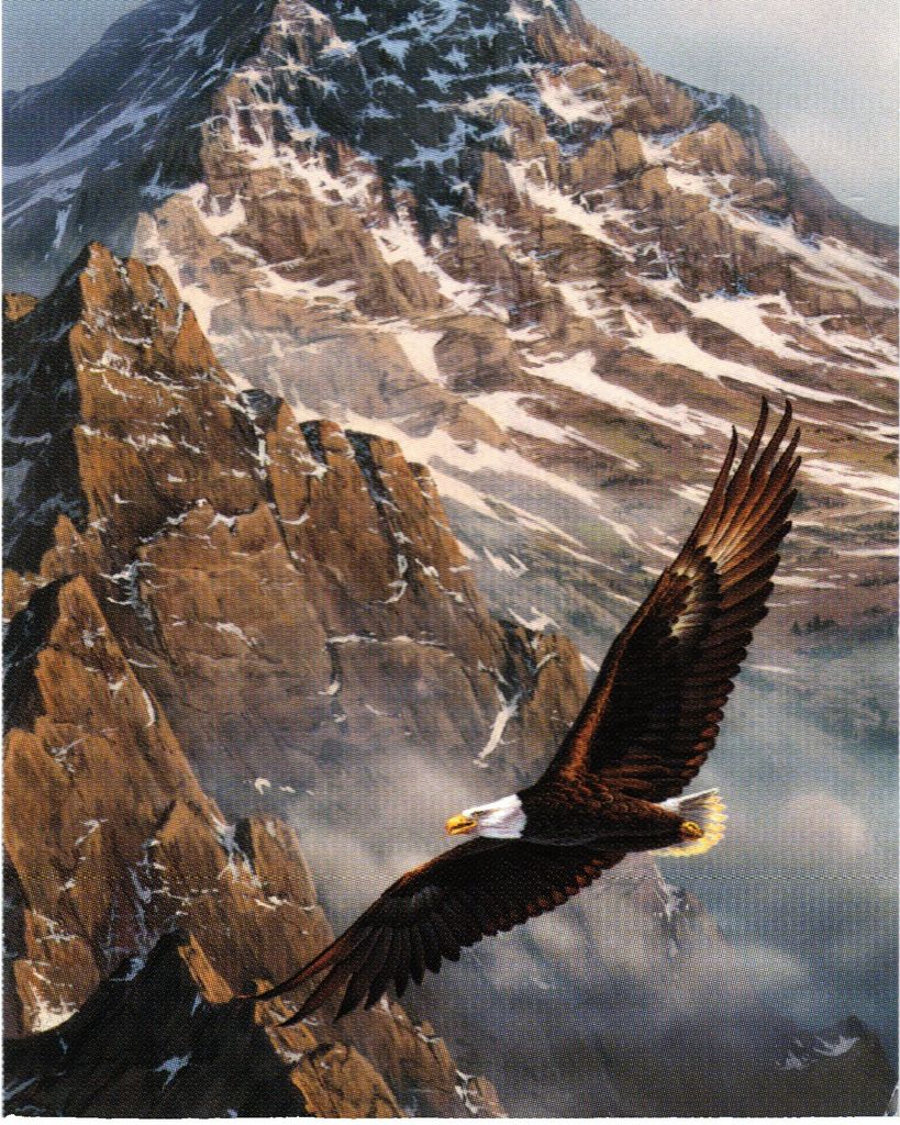 James Stephen Taylor Profile Photo