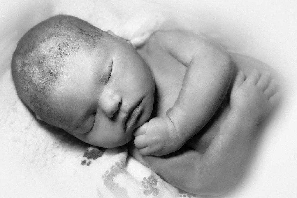 Ellie Rose Stanley