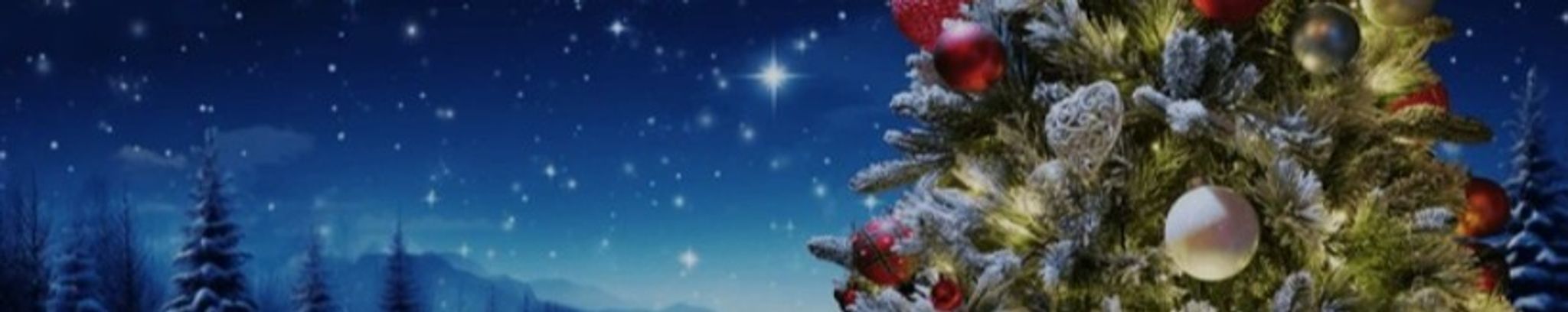 Cover for Christmas Comfort Service's Obituary