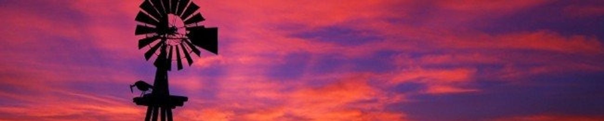 Cover photo for Motley Allen Mayhall's Obituary