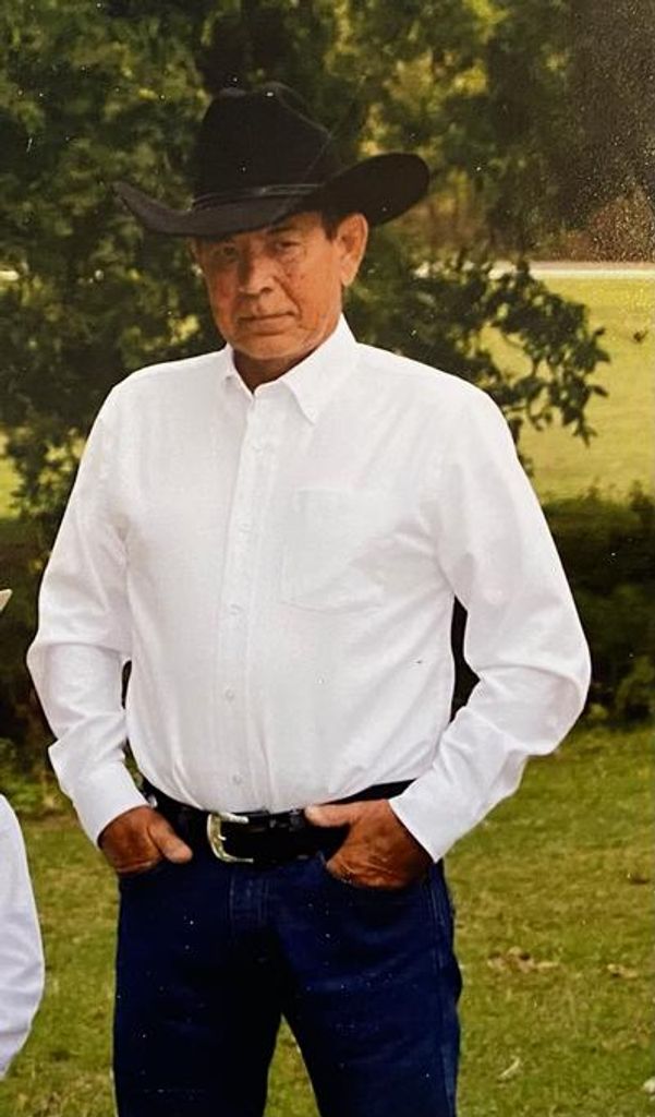 Jerry Warren Profile Photo