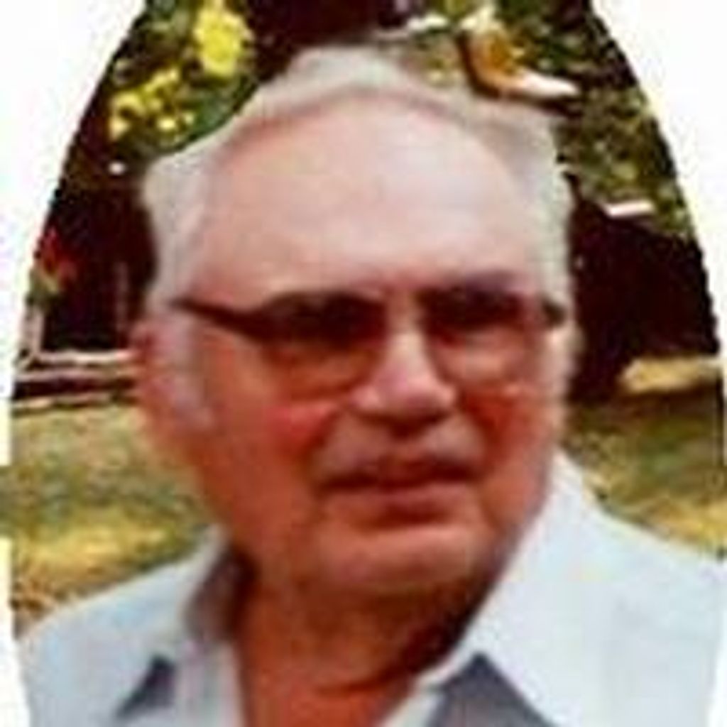 Palmer L. Finneseth