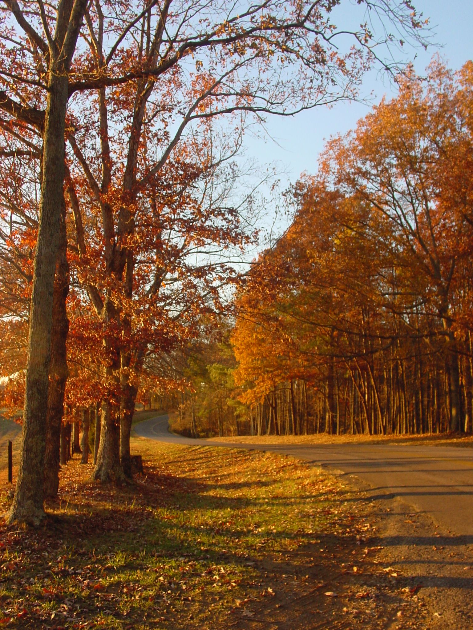Cover photo for Kirk W Doebrich's Obituary