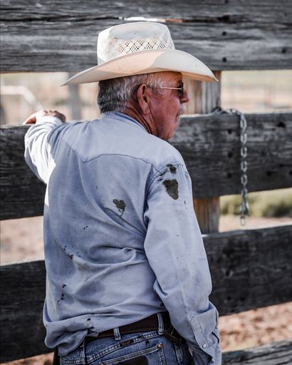 Dan Raspberry's obituary image