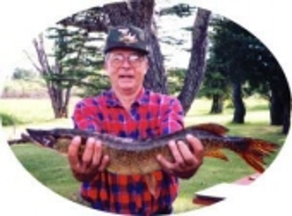 Glenn Bittner