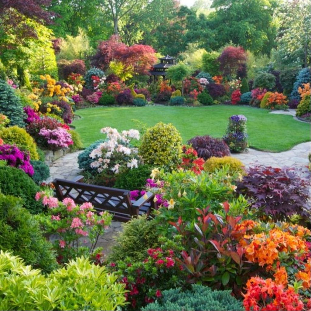 Ann Louise Schwartz Profile Photo