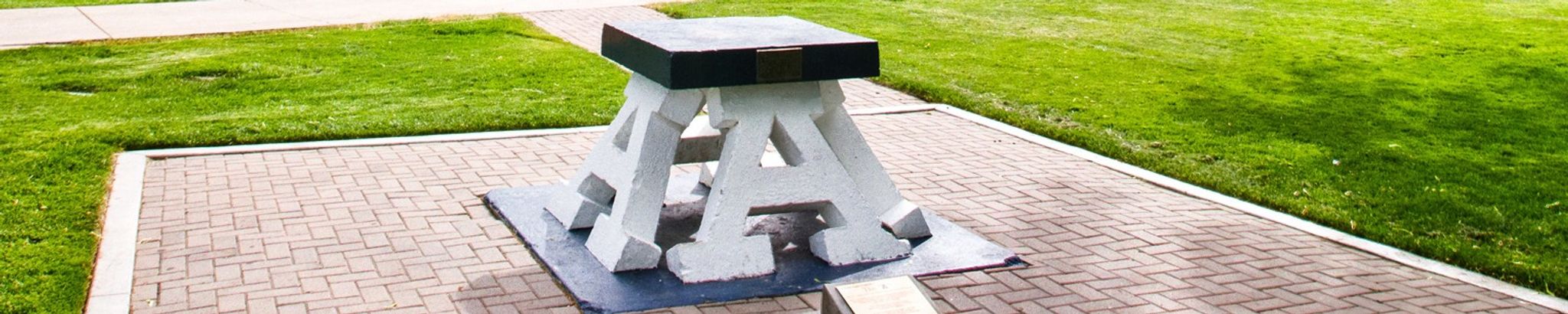 Cover for Cindy Nielsen Denning's Obituary