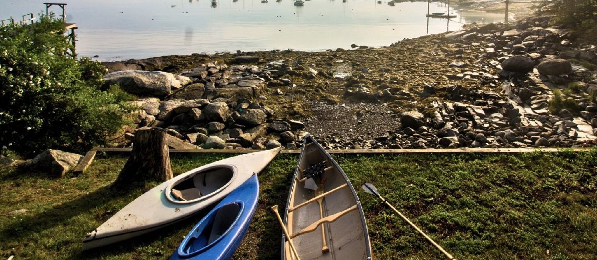 Cover for Anne S. Wettengel's Obituary