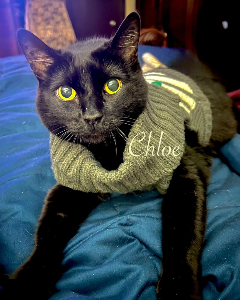 Chloe ♥ Profile Photo