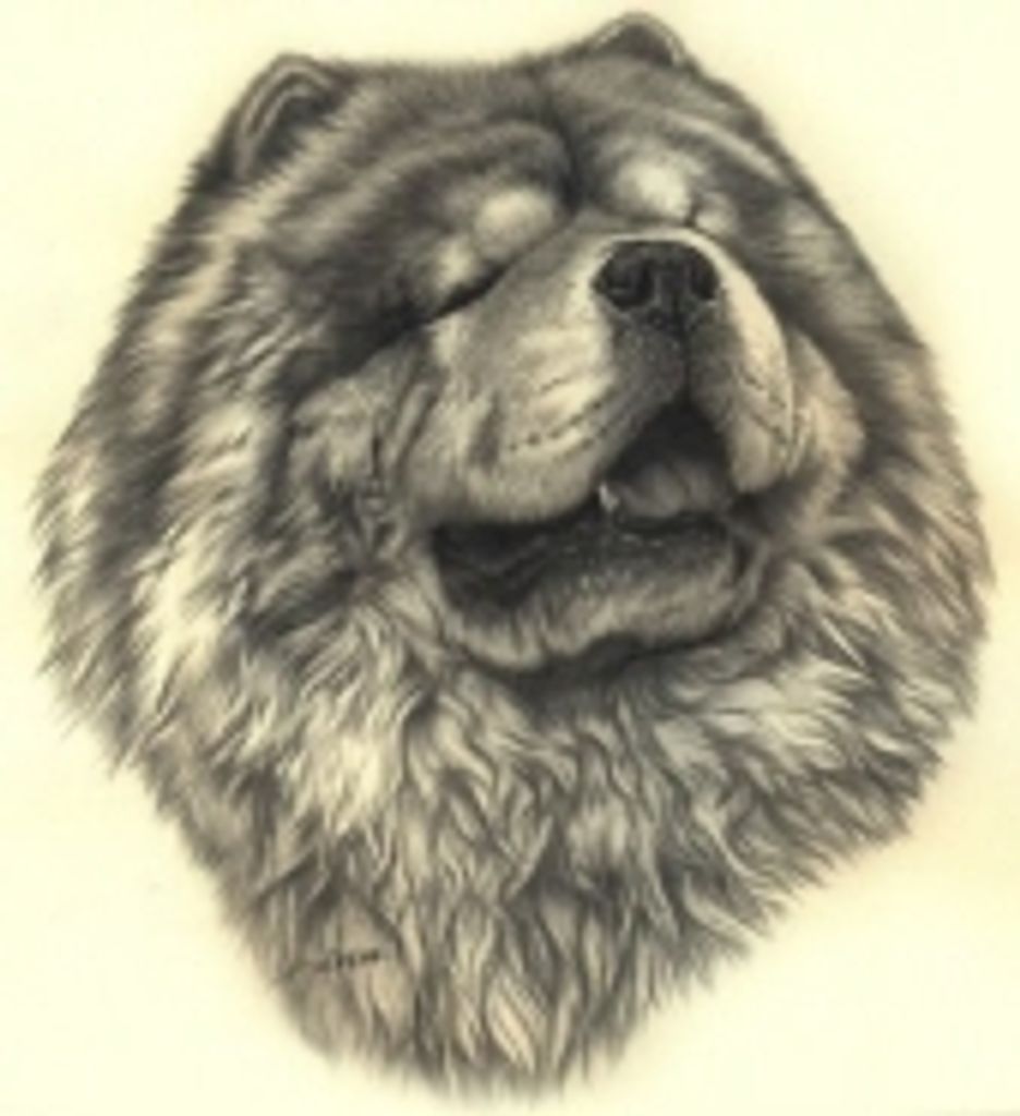 Max Shelton Profile Photo