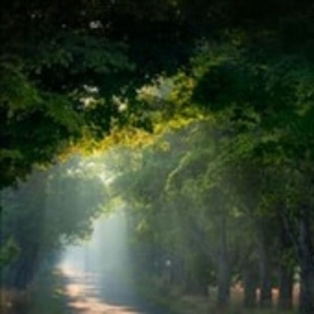 James Preston Hambrick