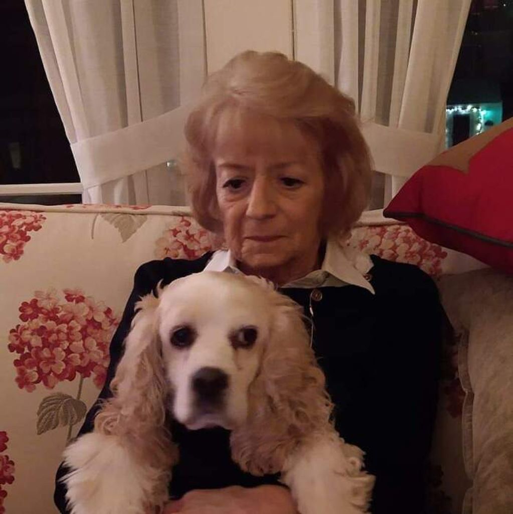 Phyllis C. (Johnston)  Petersen