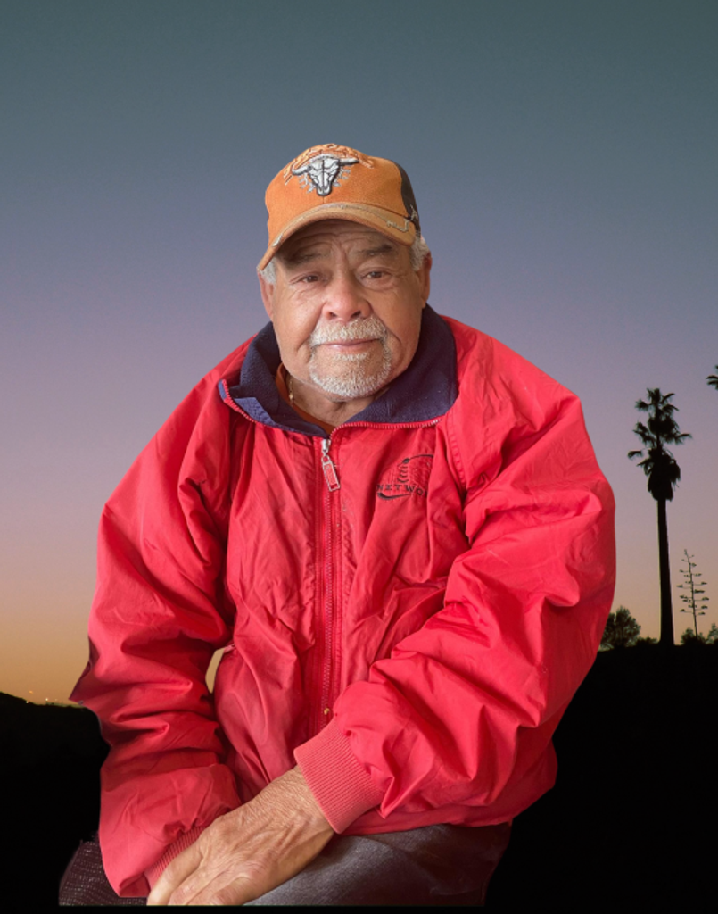 Emilio Villa Pisana