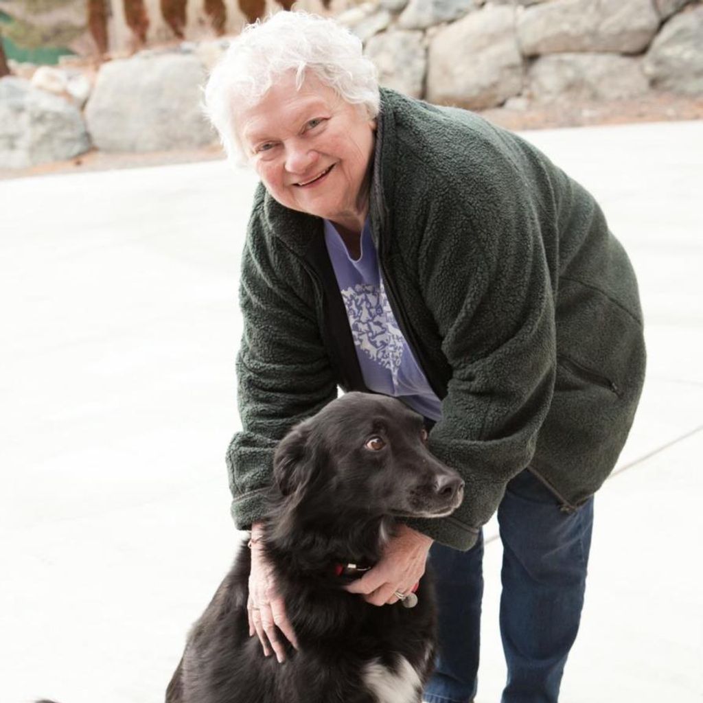 Lois E. Bradbury Profile Photo