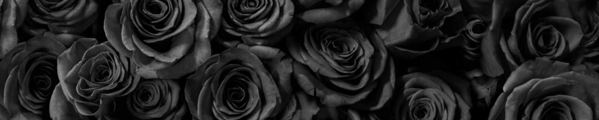 Cover for Sheri Lynn Wright's Obituary