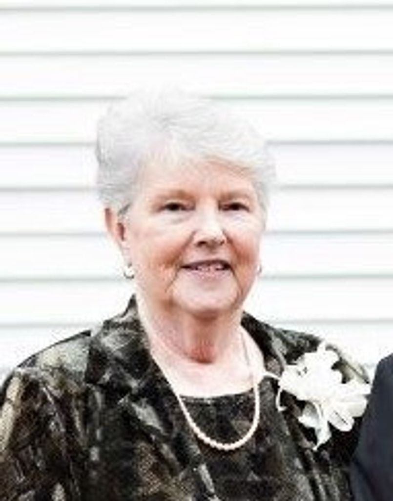 Elizabeth Anne (Sawyer)  Brown