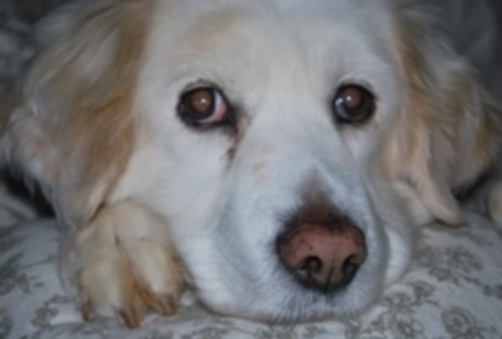Mattie Rice Profile Photo