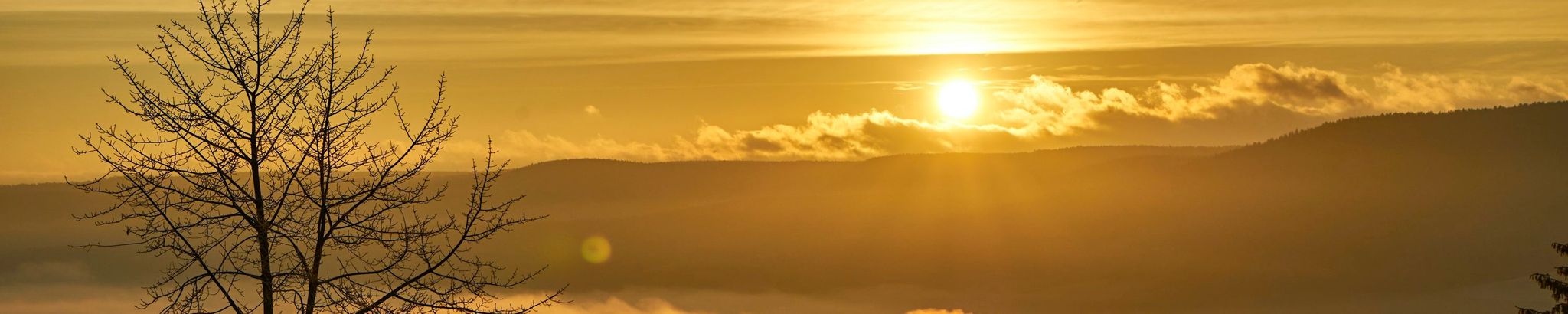 Cover for Leonard Allan Holowaychuk's Obituary