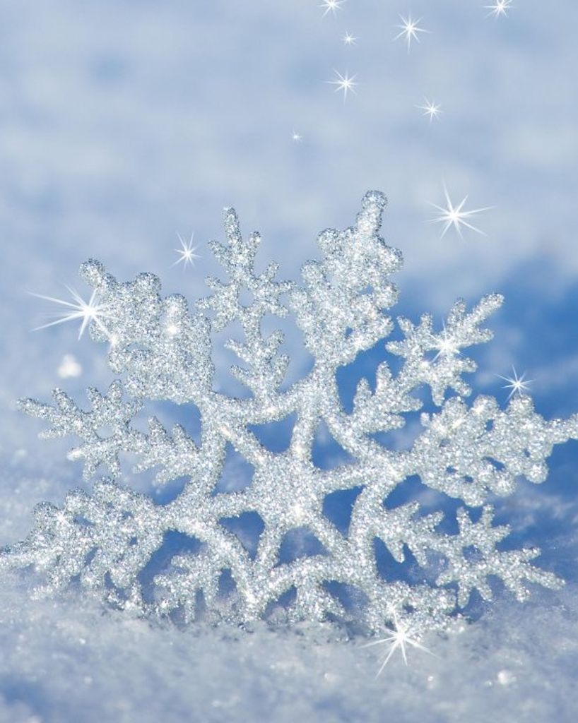 2023 Holiday Remembrance Program: Uniquely Them