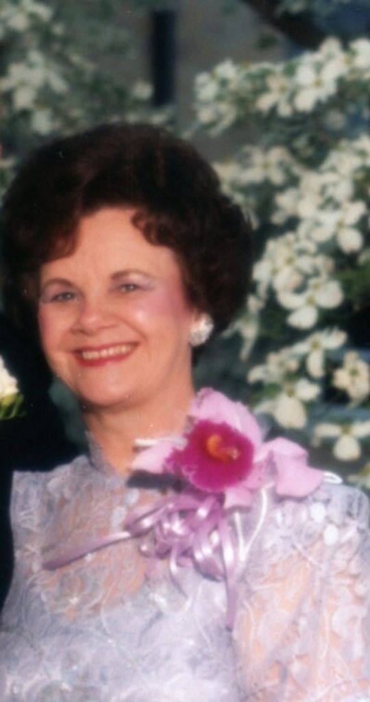 Alice V Dekker Profile Photo