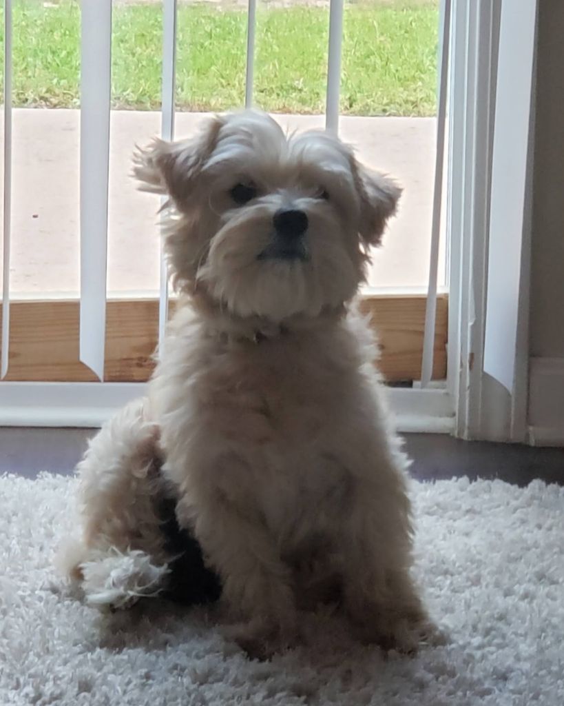 Bentley Milton Profile Photo