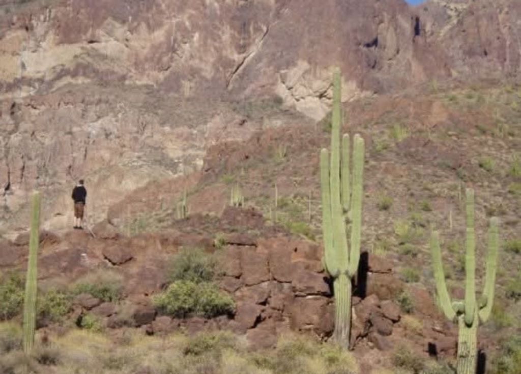 William "Bill" Stuart Thomson Govan