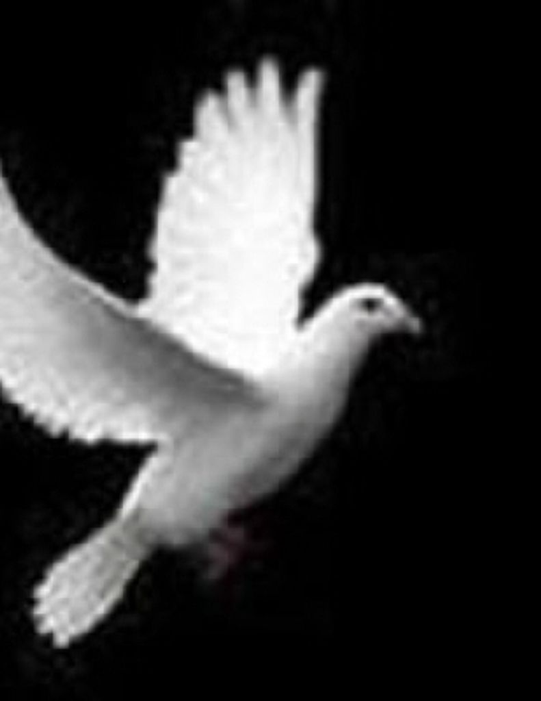 Barbara Ann Wilbanks Profile Photo