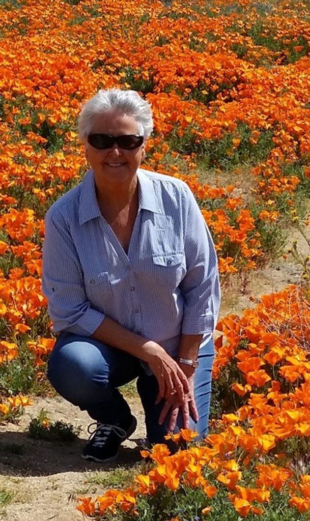 Joy Ashlock Profile Photo