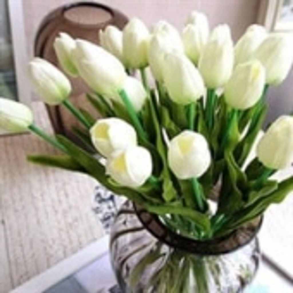 Elizabeth Ann Whited