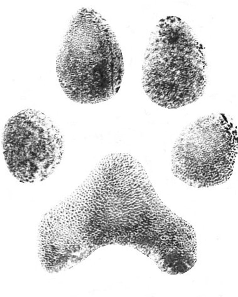Bear Herbster Profile Photo