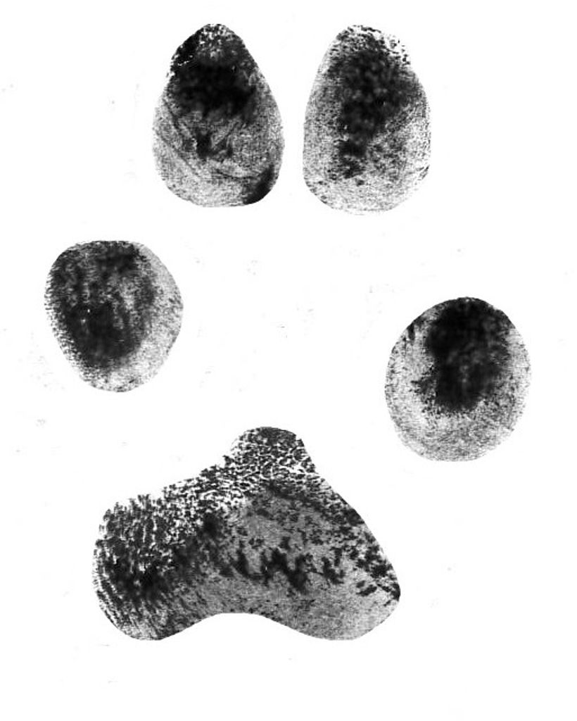 Dakota Kelly Profile Photo