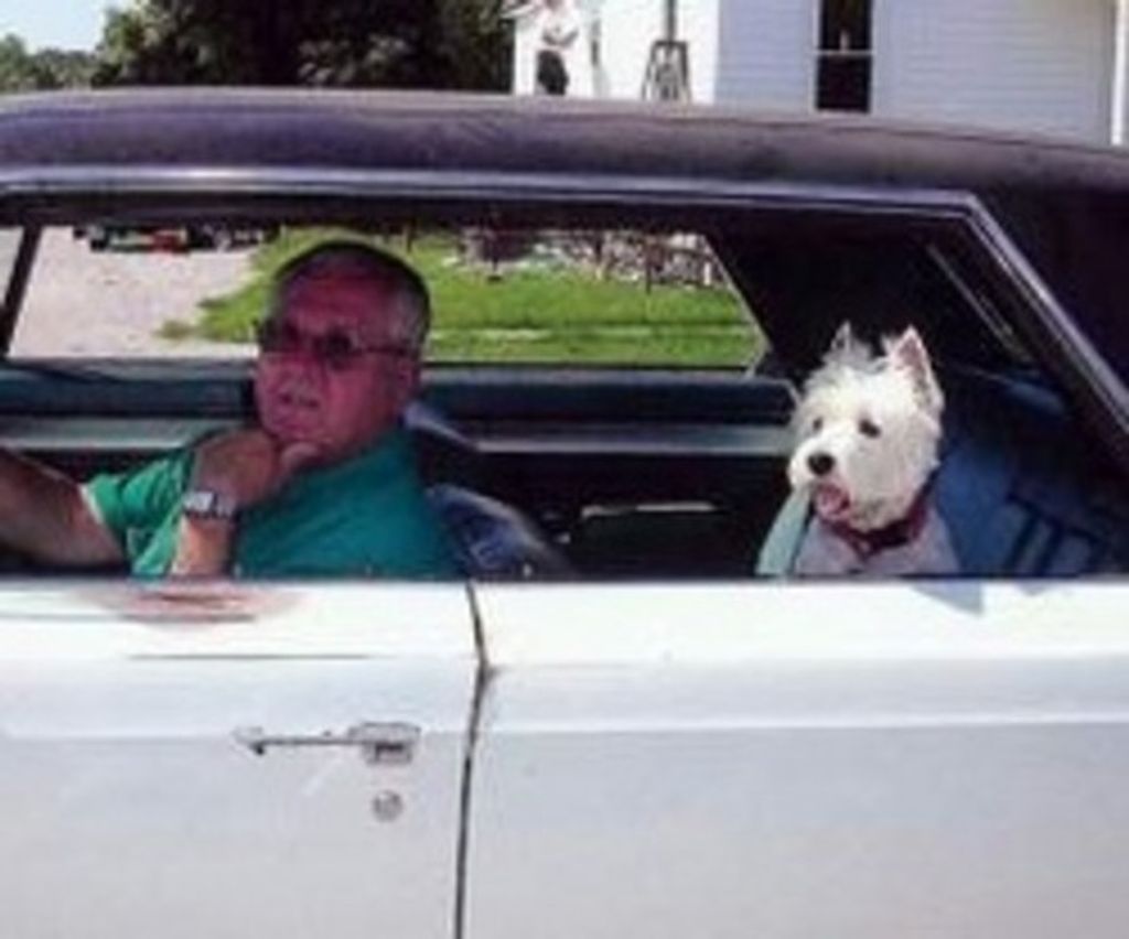 L. Norman Quillie Quillman