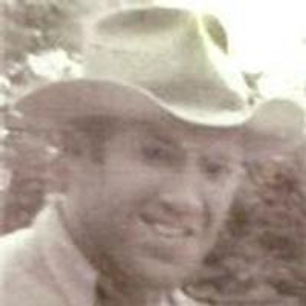Lewis Ellis Huey Minton