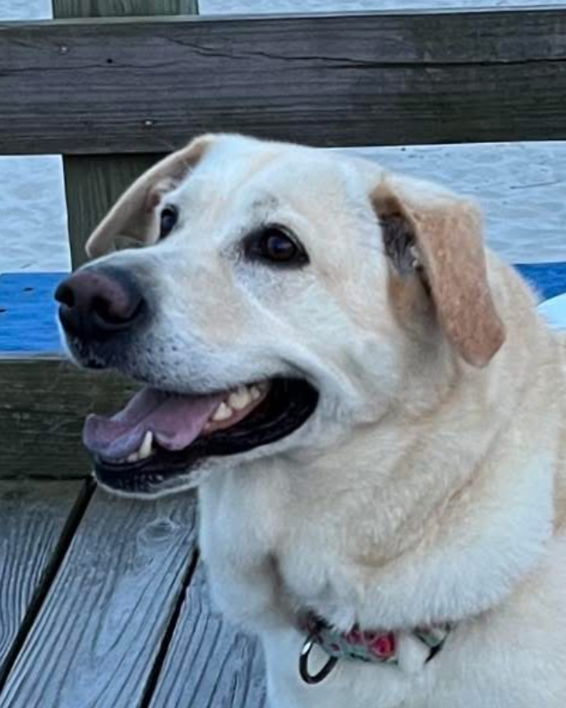 Mellie Blake Profile Photo