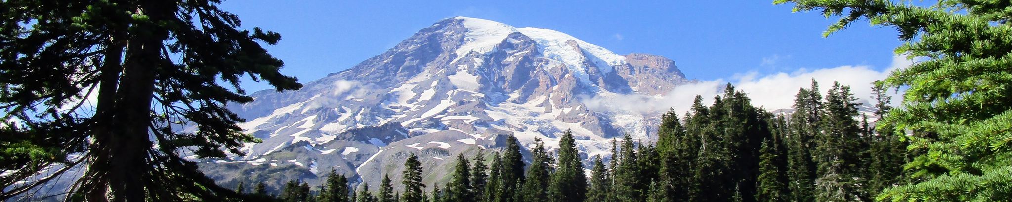 Cover for Anne Cecelia Wilson's Obituary