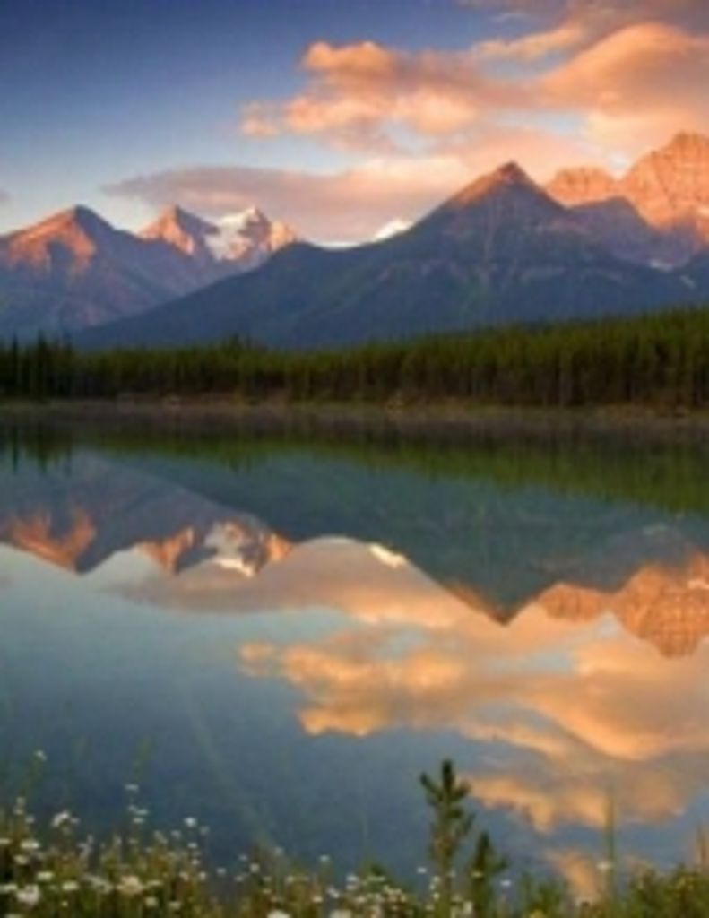 Murphie Deann Gill (Gwfh)