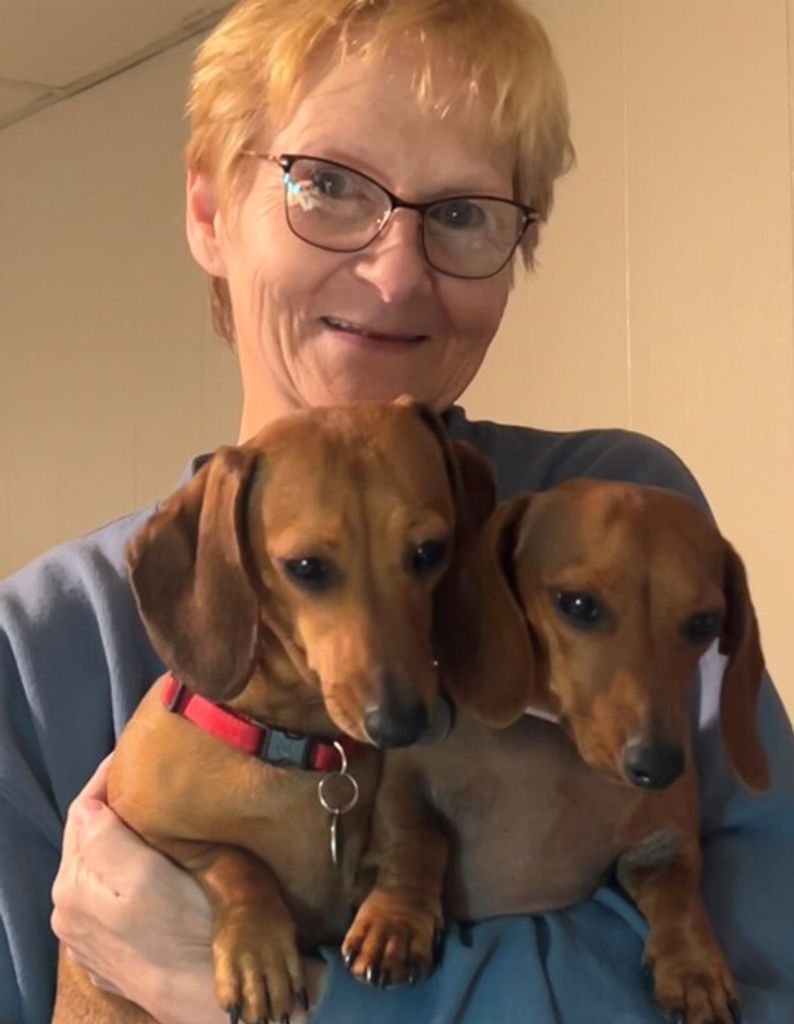 Karen Lee (Sprague)  Jillson Profile Photo